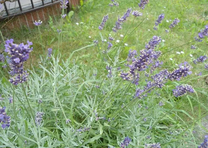 Spirit Of Appartement *